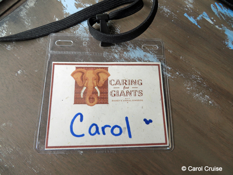 Carol's Name Badge